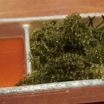 Shida Kaji - 海ぶどう〜プチプチ新鮮だぁ〜❗️☺v