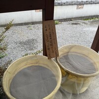 天ぷら もっこす - 