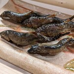 割烹　梅津 - 2人分