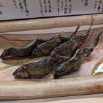 割烹　梅津 - 鮎