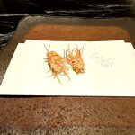 天ぷら 極 草哲 - 車海老