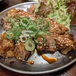 馳どり屋 - 料理写真: