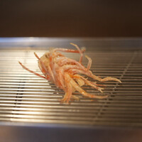 てんぷら山の上 Ginza - 