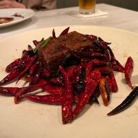CINA New Modern Chinese - 