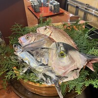 魚めし 竹亭 - 
