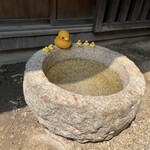 あひる菓子店 - 