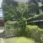 ミネルバ茶房 - 