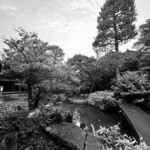 御料理ふじ居 - 