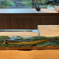 御料理ふじ居 - 