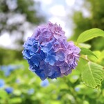 うなぎ亭 友栄 - 