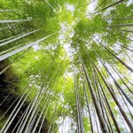 うなぎ亭 友栄 - 