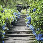 うなぎ亭 友栄 - 