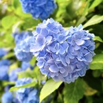 うなぎ亭 友栄 - 