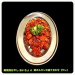 鶏焼肉はやし おいちょ - 