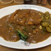 日乃屋カレー 秋葉原店