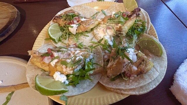 ROJO Amigo Kitchen photo 2