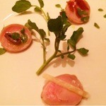 SALONE 2007 - 2014.9.  PROPOSTA～提案 ウサギ/バニラ/タジャスケ/プルーン