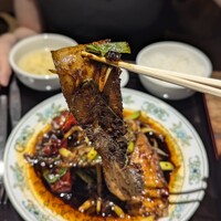 雪梅花 菜根譚 - 