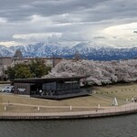 スターバックスコーヒー - 