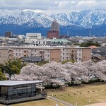 スターバックスコーヒー - 