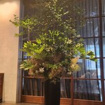 XEX 日本橋 The BAR - 