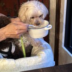 薬膳火鍋薔薇亭 - 