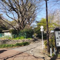 鰻割烹 伊豆栄 梅川亭 - 