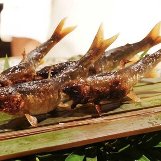 飛騨宮川の天然鮎