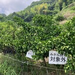 観音山フルーツパーラー - 