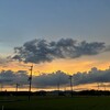 望雁 - 