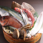 まるちゅう - 料理写真:仲卸が営む回転すし