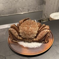 TOSAGE - 大きな毛蟹