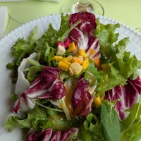 オステリアガウダンテ 神戸ハーバーランド店 -  オステリアガウダンテ 神戸ハーバーランド店 -