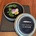 ONO HAKATA-Octo Natura Kyusyu- - 