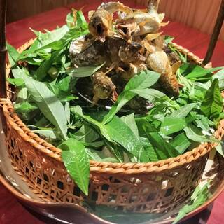 全国各地より厳選された旬食材を、こだわりの器で味わう