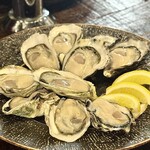 生牡蠣研究所 - 