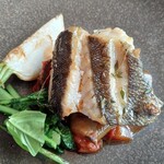 TOKYO NODE DINING - 徳島県鳴門 鱸のロースト 野辺地小蕪とカポナータ