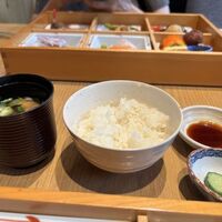 SHARI東銀座 - お食事