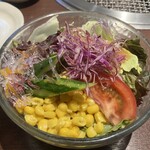 シズラー - 孫野菜入りサラダ