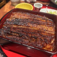 炭焼 うな富士 有楽町店 - 
