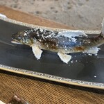 柳家 - 鮎（2匹目）