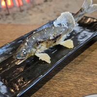 柳家 - 鮎（馬瀬川）