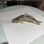 天ぷら 好日 - 稚鮎