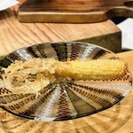 天ぷら もっこす - 