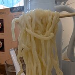 La La Gottsuo - ややストレートの中太麺