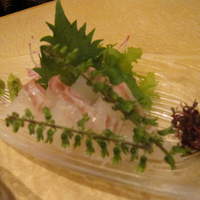 すし京辰 恵比寿店 - 