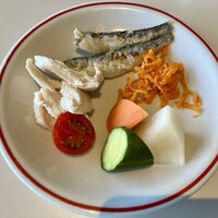 CODA ROSSA - 