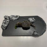 レミニセンス - 