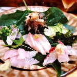 松江の味 郷土料理 出雲 川京 - 