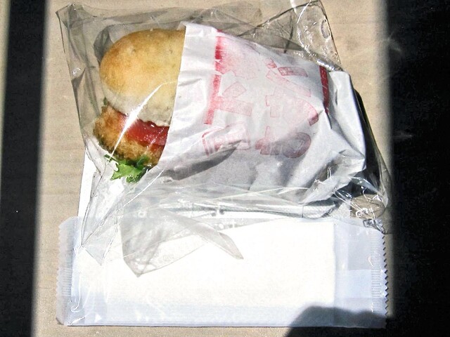 会津鉄道 お座トロ展望列車 &ndash; 会津若松で絶景列車体験